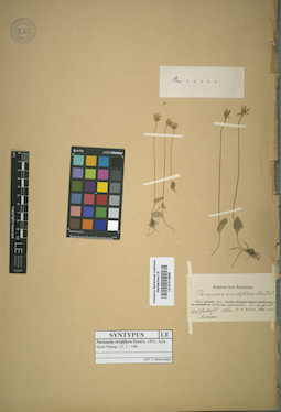 LE 01014856