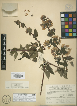 LE 01014861