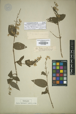 LE 01014865