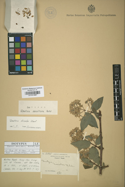 LE 01014867