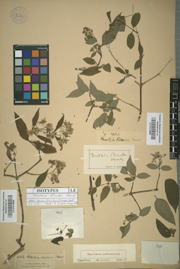 LE 01014869