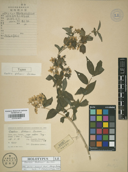 LE 01014870