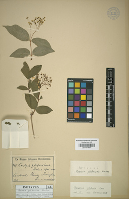 LE 01014871