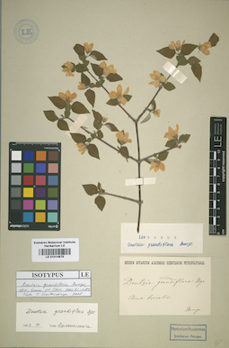 LE 01014875