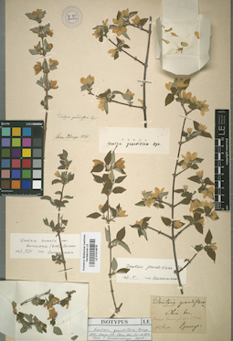 LE 01014876