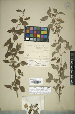 LE 01014877