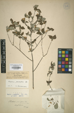 LE 01014879