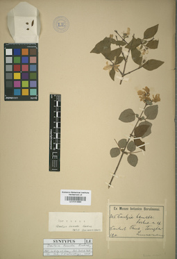 LE 01014880