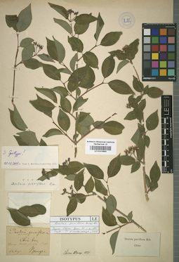 LE 01014884