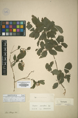 LE 01014885