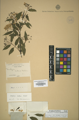 LE 01014889