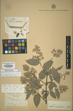 LE 01014890