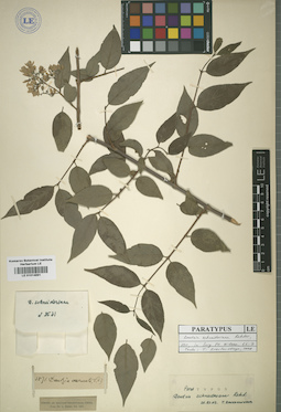 LE 01014891