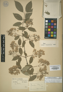 LE 01014892