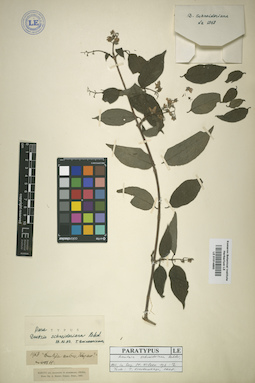 LE 01014893