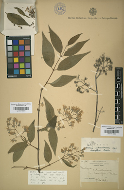 LE 01014894