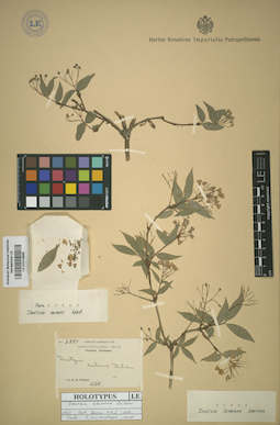 LE 01014898