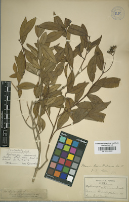 LE 01014922