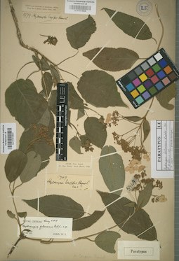 LE 01014927