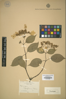LE 01014931