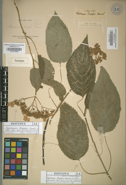 LE 01014933