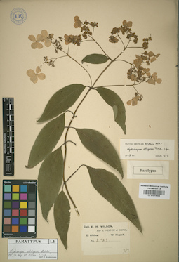 LE 01014936