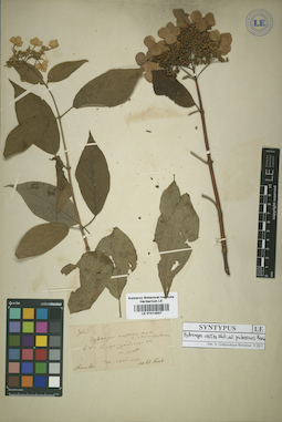 LE 01014937