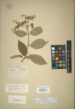 LE 01014938