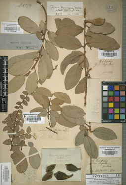 LE 01014947