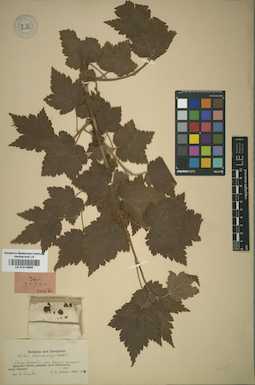 LE 01014969