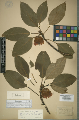LE 01014986