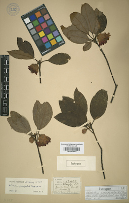 LE 01014987