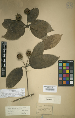 LE 01014989
