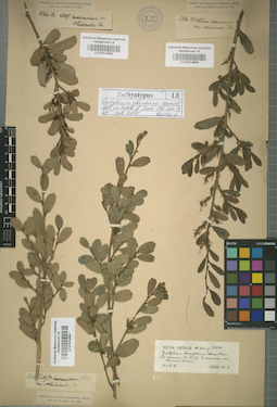 LE 01014991