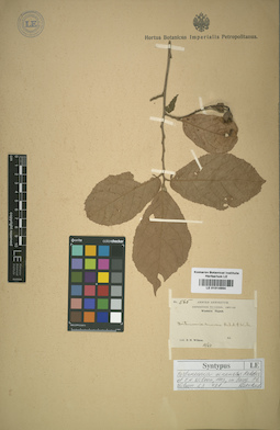 LE 01014994