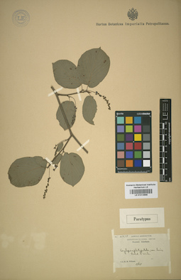 LE 01014998