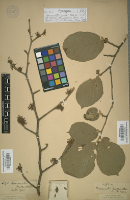 LE 01015003