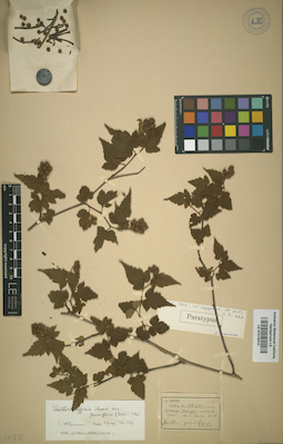 LE 01015010
