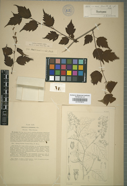 LE 01015012
