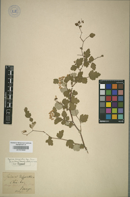 LE 01015023