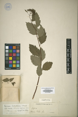 LE 01015024