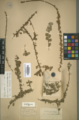 LE 01015025