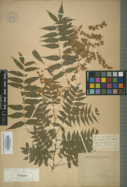 LE 01015026