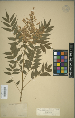 LE 01015029