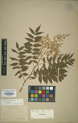 LE 01015030