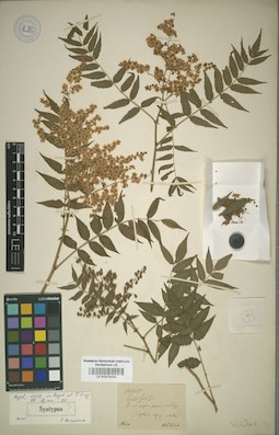 LE 01015034