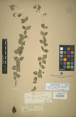 LE 01015041