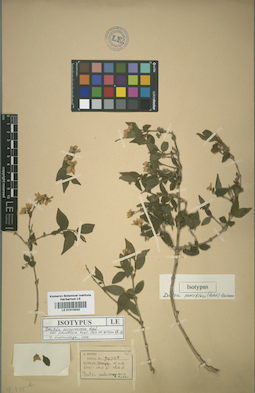 LE 01015042