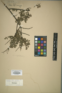 LE 01015044
