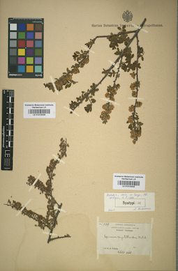LE 01015045